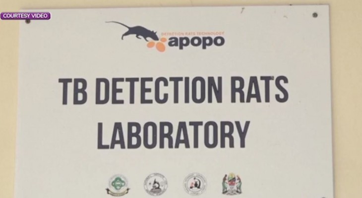 Laboratories In Kenya And Tanzania Train Rats To Detect Tuberculosis